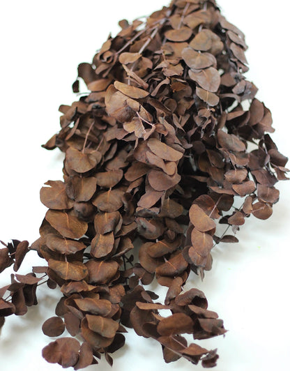 Dried Cinerea bunch - Brown, 70cm