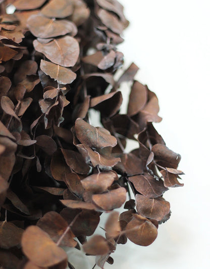 Dried Cinerea bunch - Brown, 70cm