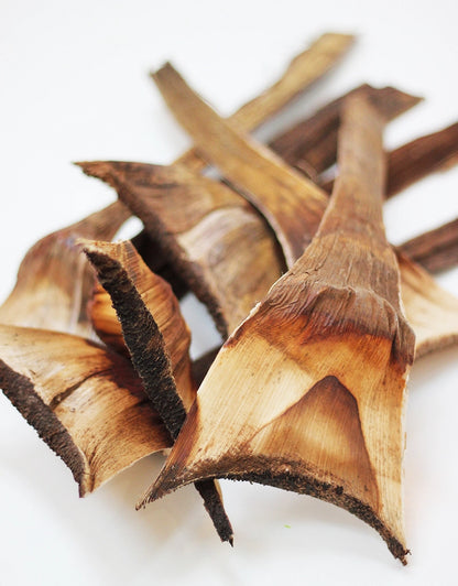 Dried Wooden Bark - Natural, x5