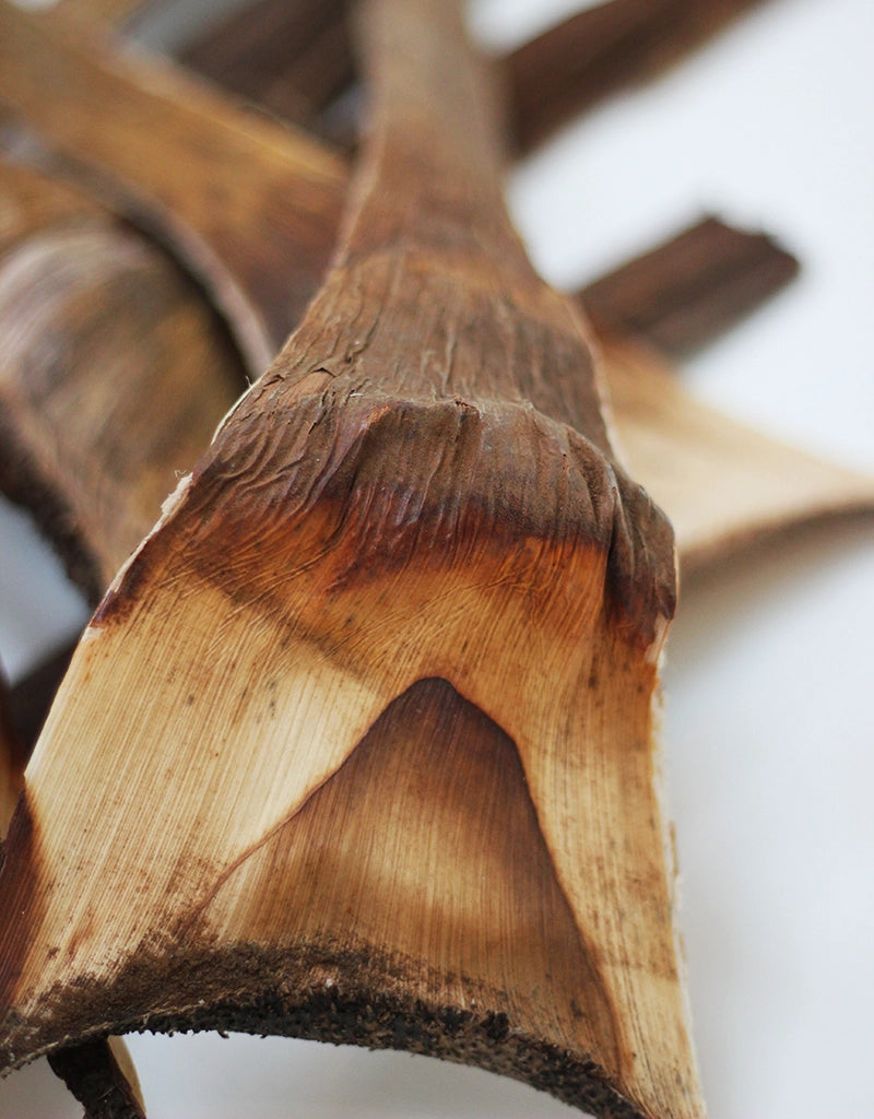 Dried Wooden Bark - Natural, x5