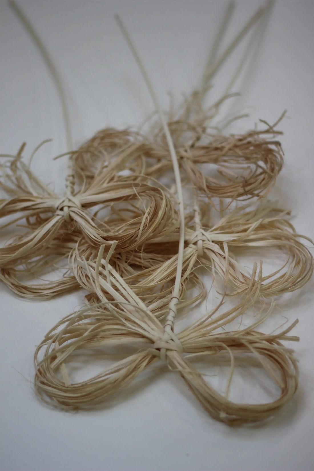 Raffia Bow on Stick Bleached White 60CM (5-pieces)