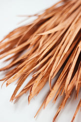 dried palms