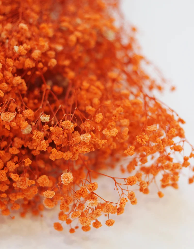 Close-up of a dried orange flower bouquet, likely baby&