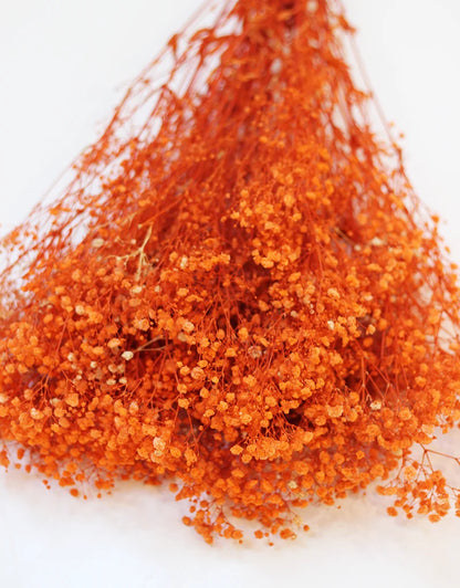 A pile of bright orange dried baby&