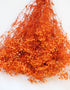 A pile of bright orange dried baby&