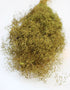Preserved Gypsophila Bunch