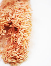 Preserved Licopodium flowers