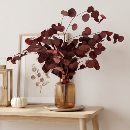 Eucalyptus Populus Red leaves