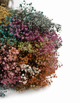 Preserved Gypsophila Flowers 