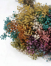 Preserved Gypsophila Flowers 