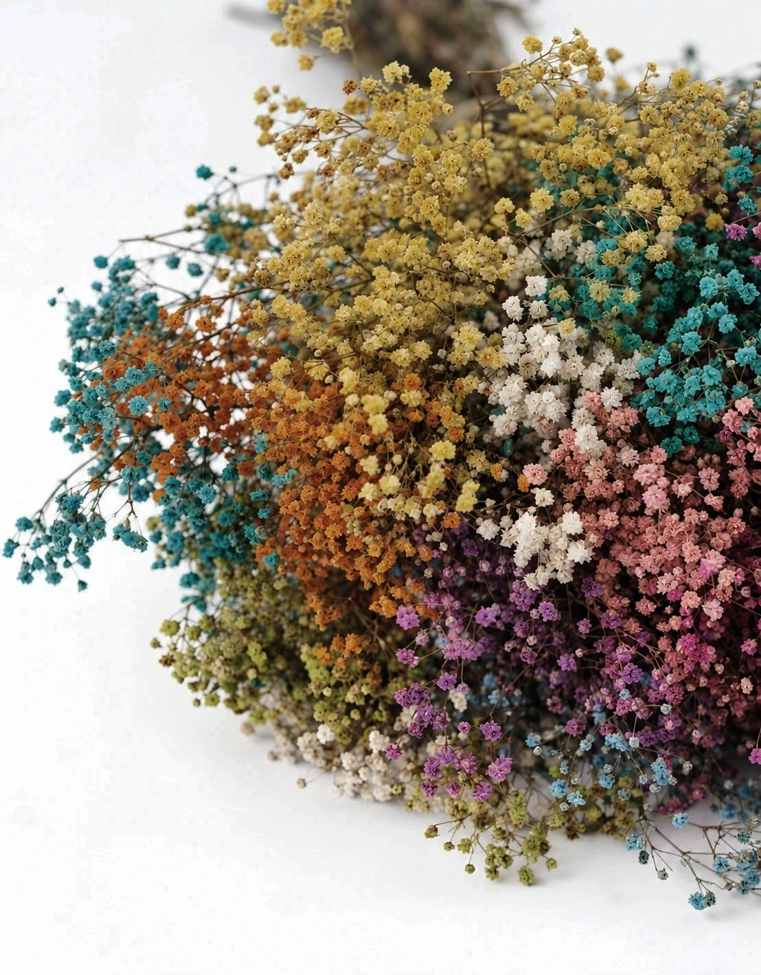 Preserved Gypsophila Flowers 