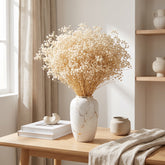 Preserved_Gypsophila_Natural