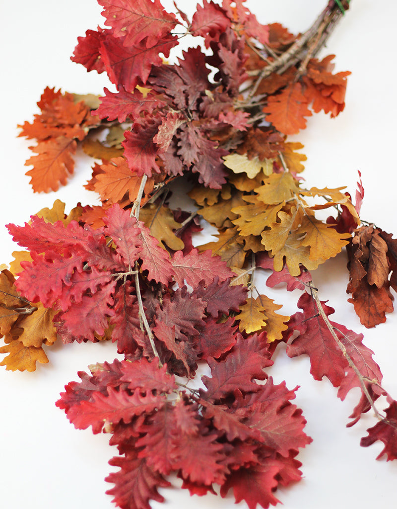 Autumn leaves