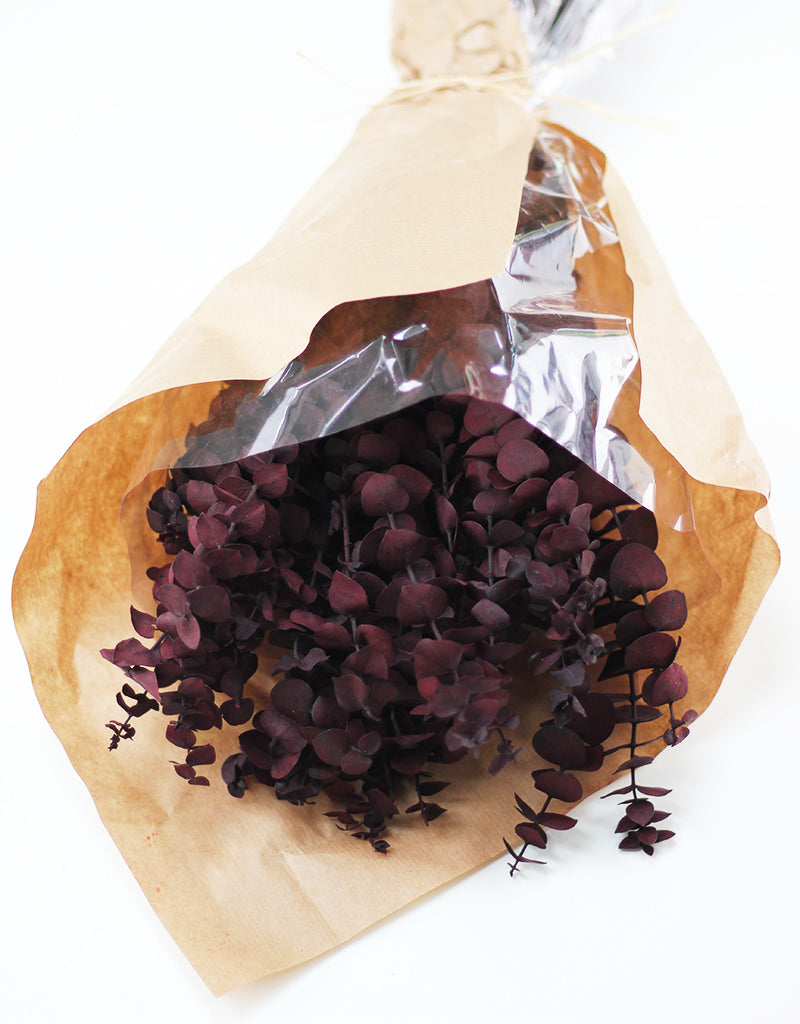 Preserved Baby Blue Eucalyptus - Bordeaux, 150g, 50cm