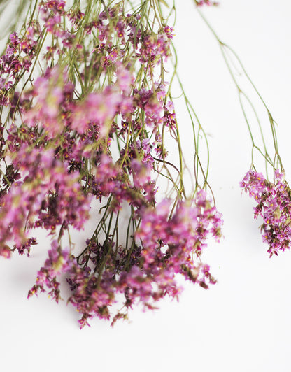 Dried Limonium flowers bunch