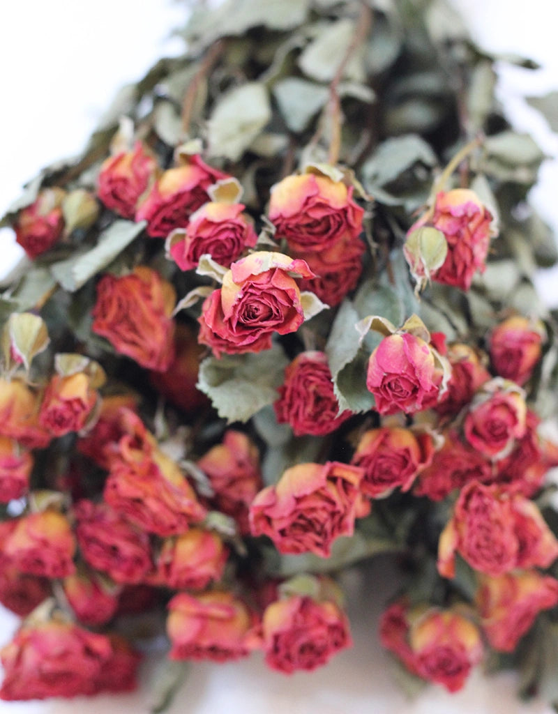 Spray Roses