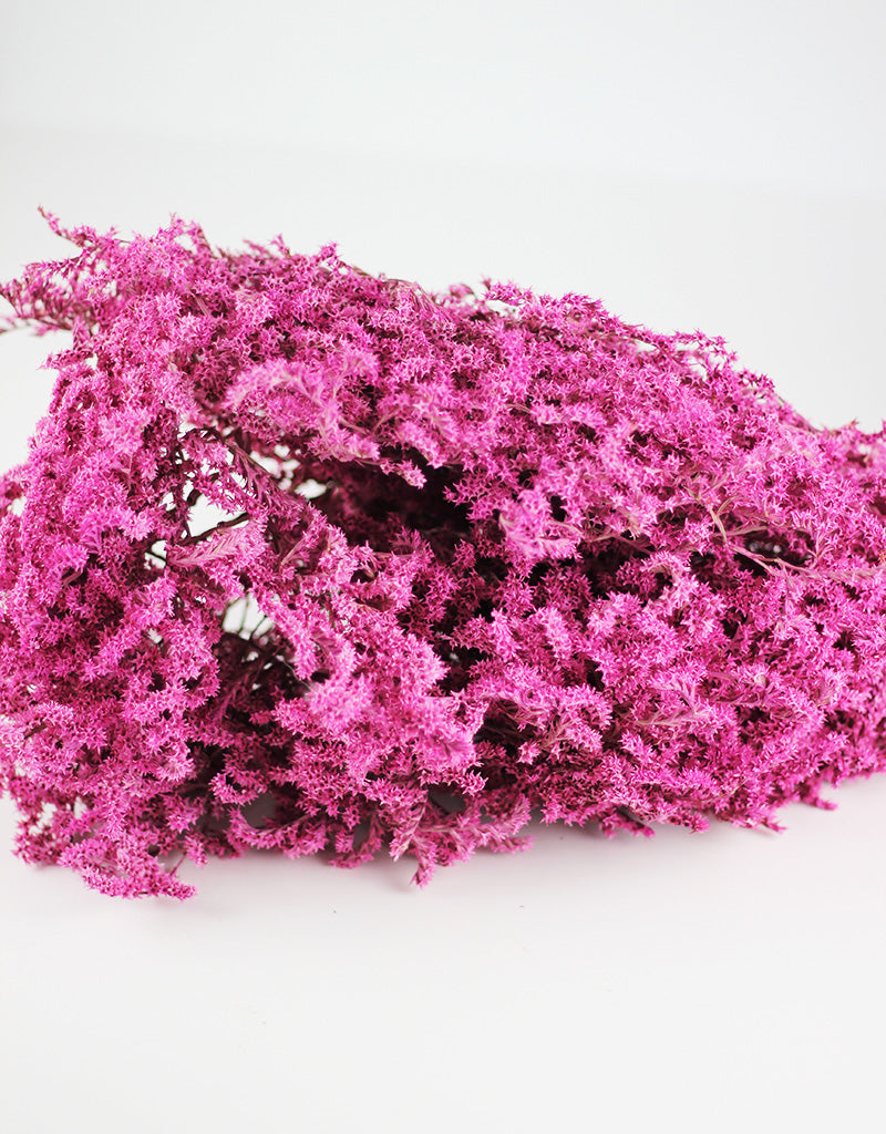 Dried Statice Tatarica Dumosa Cerise Pink Flower Bunch - 200 grams, 50cm
