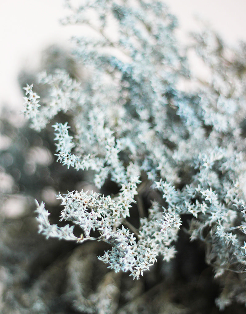 Blue Flower Bunch 