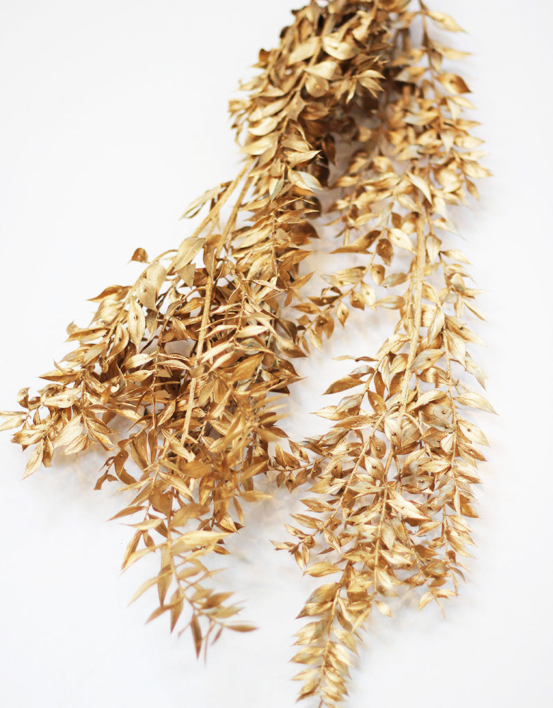 Wholesale Gold Dried Ruscus