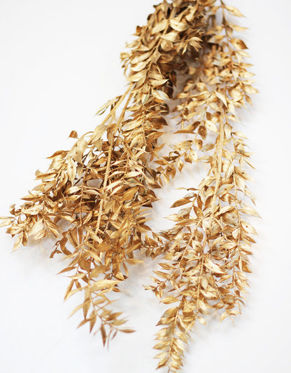 Wholesale Gold Dried Ruscus