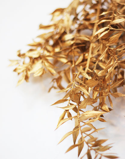 Wholesale Gold Dried Ruscus bunch