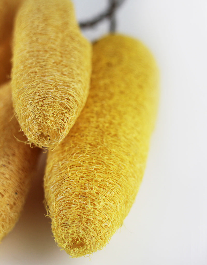 YELLOW DRIED LUFFA