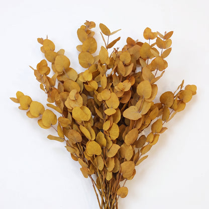 Preserved Eucalyptus - Stuartiana Yellow Bunch, 60 cm