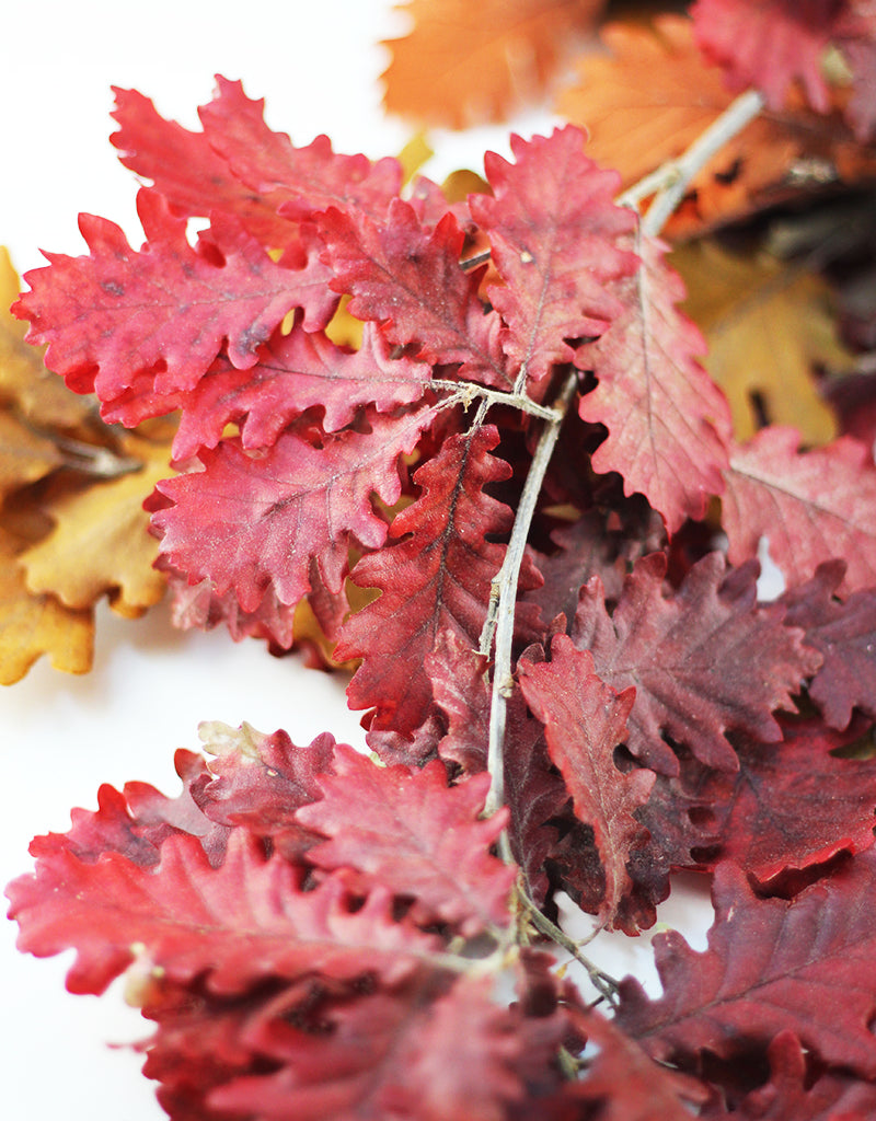 autumn_leaves
