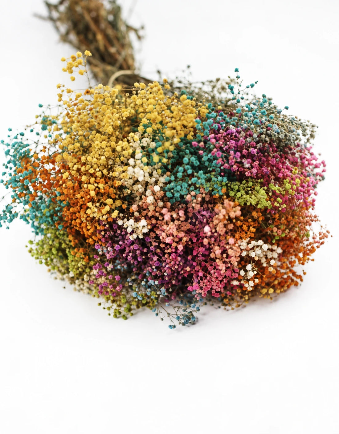 Preserved Gypsophila Flowers