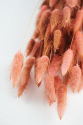 dried bunny tails
