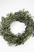 Green Eucalyptus Parvifolia Wreath