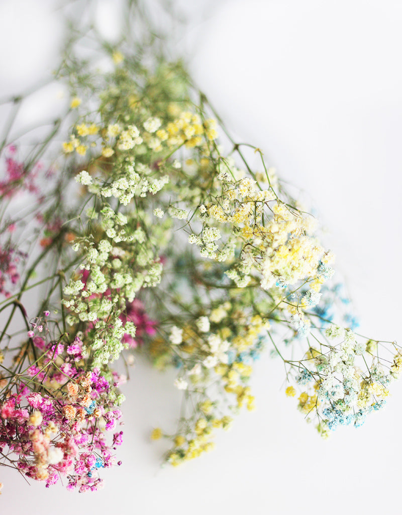 Dried Baby's Breath bouquet