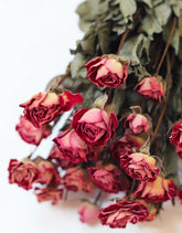 dried roses
