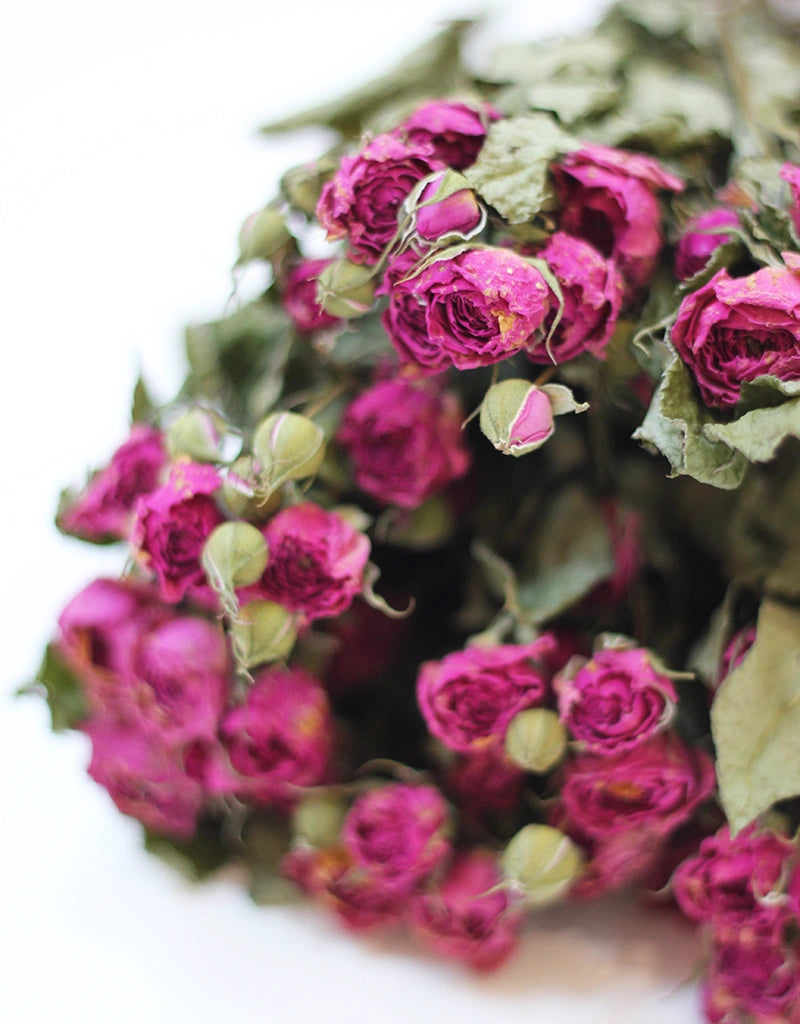 dried roses