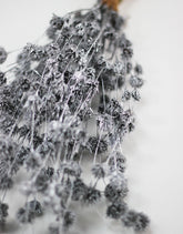Drued silver flowers