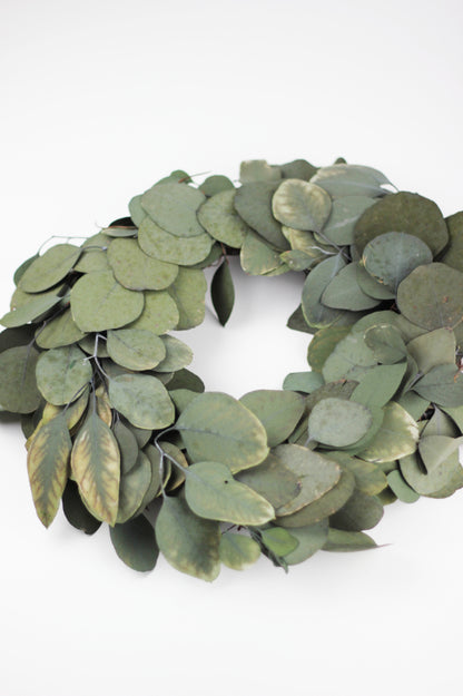 Preserved Eucalyptus  Wreath