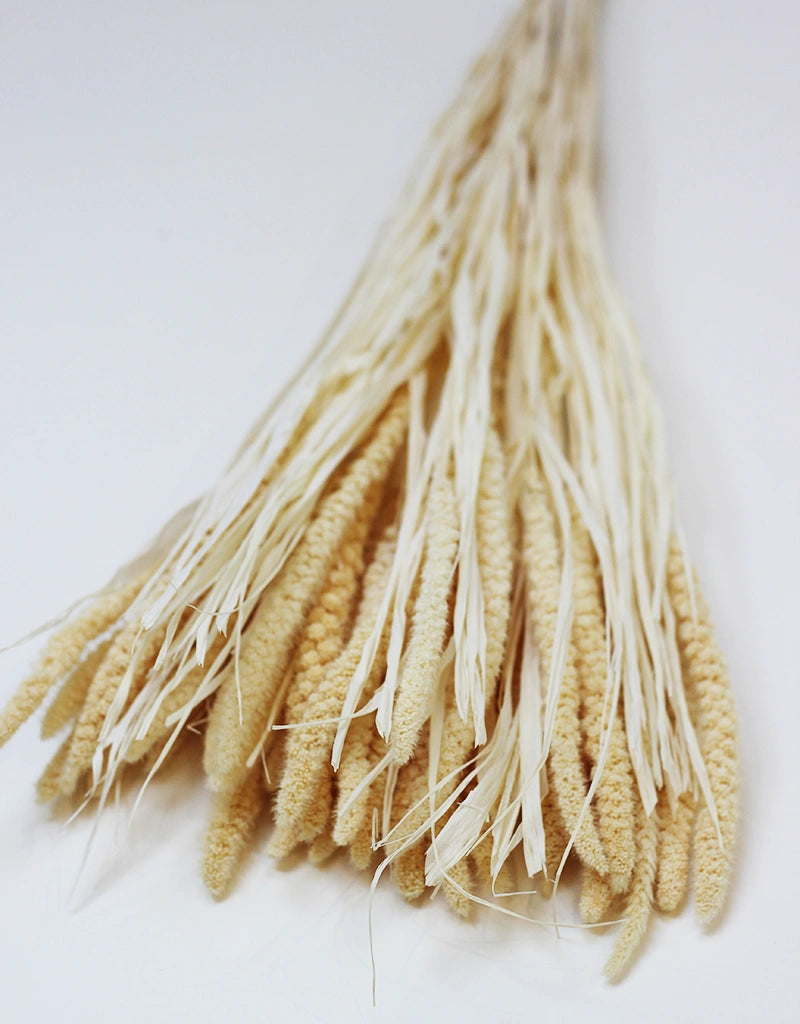 foxtail grass