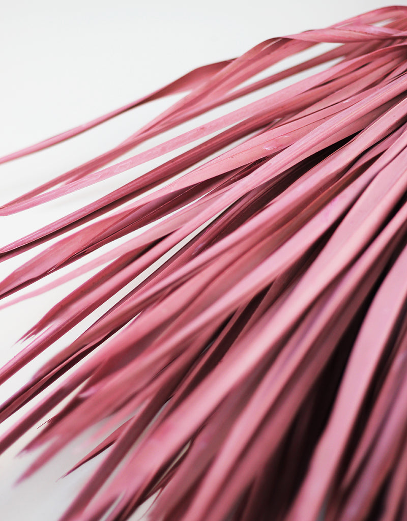 Pink Palm Leaves