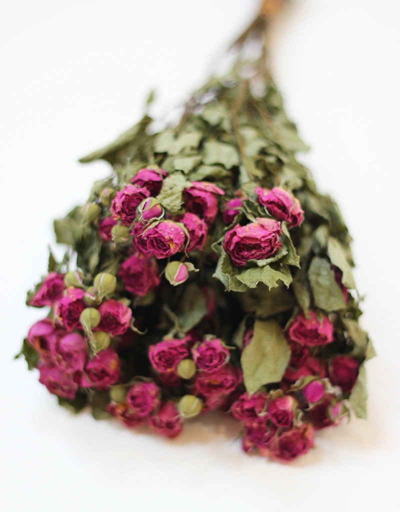 pink roses