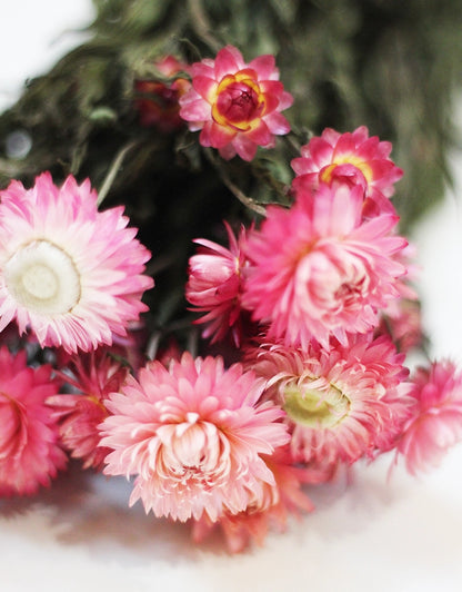 Dried Helichrysum 