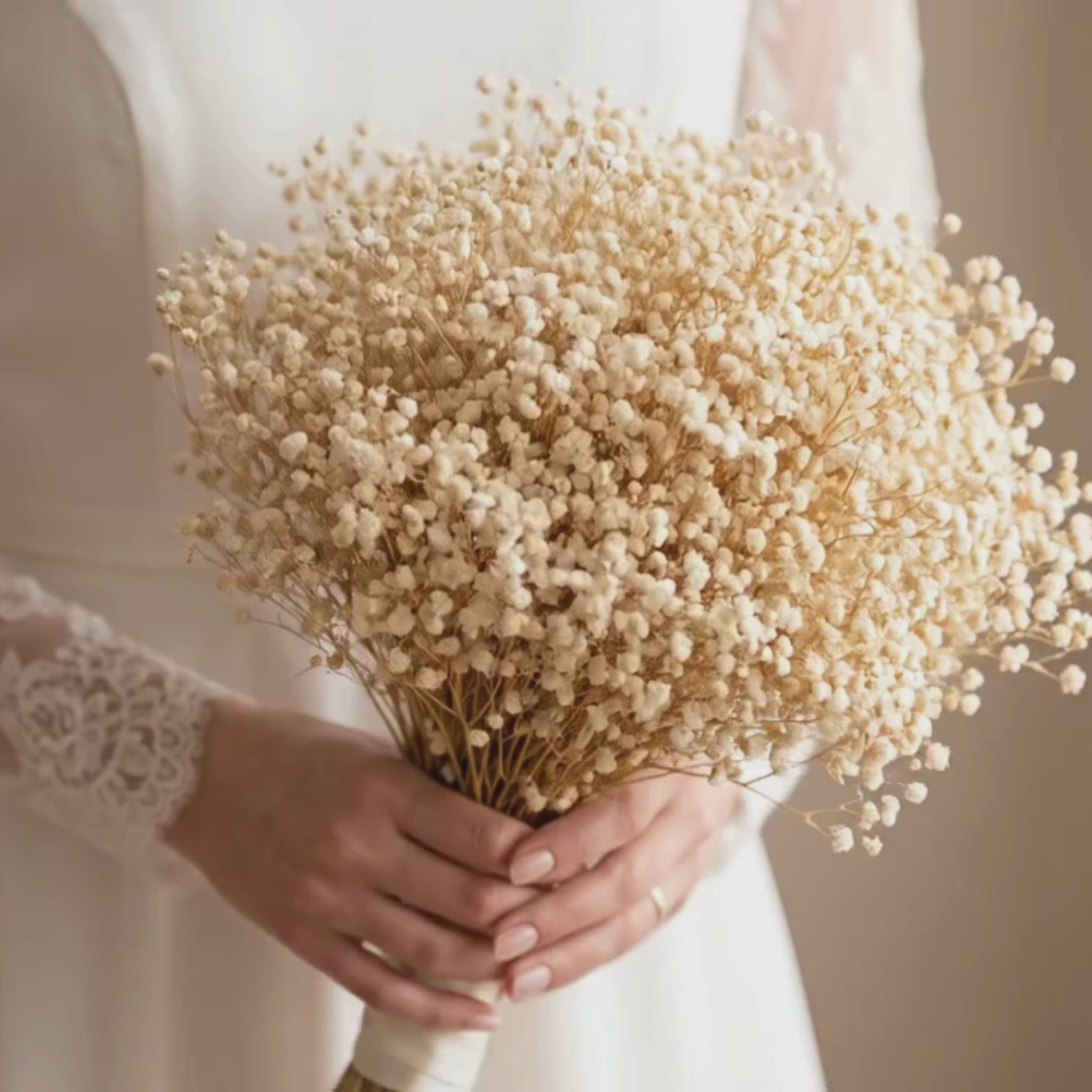 Baby's Breath Flowers 
