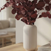 Eucalyptus Populus Red


