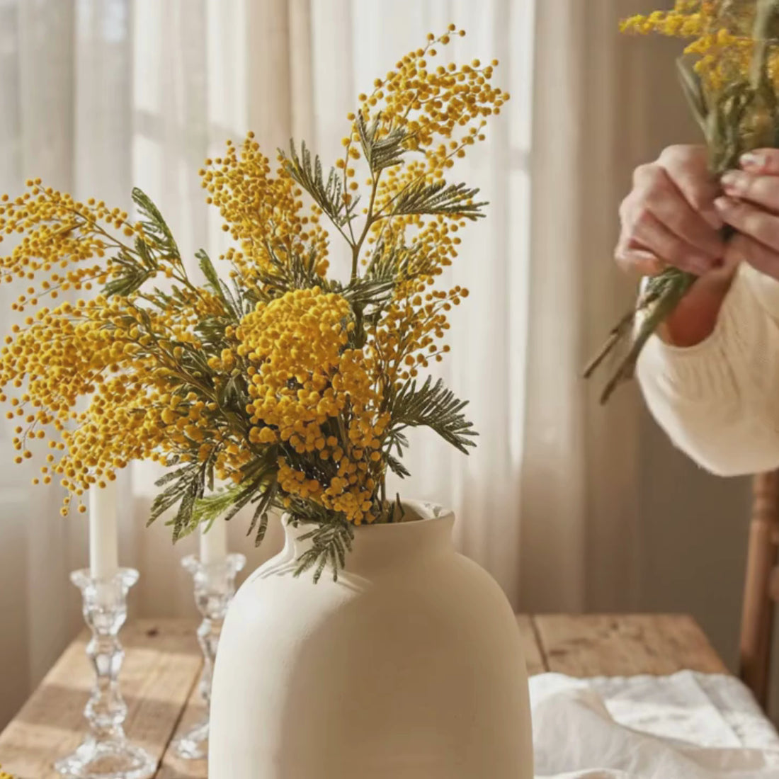 Dried Mimosa Flowers