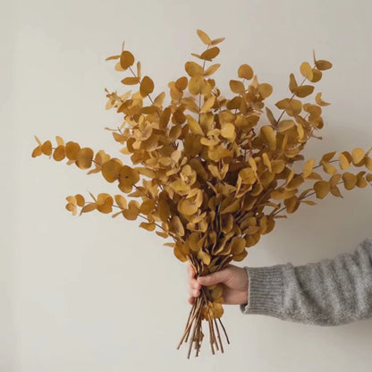 Yellow Eucalyptus Stuartiana Preserved Bunch