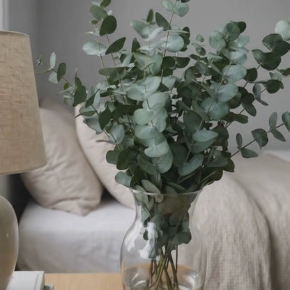 Preserved Eucalyptus Stems - Cinerea Green/Grey Bunch, 60 cm