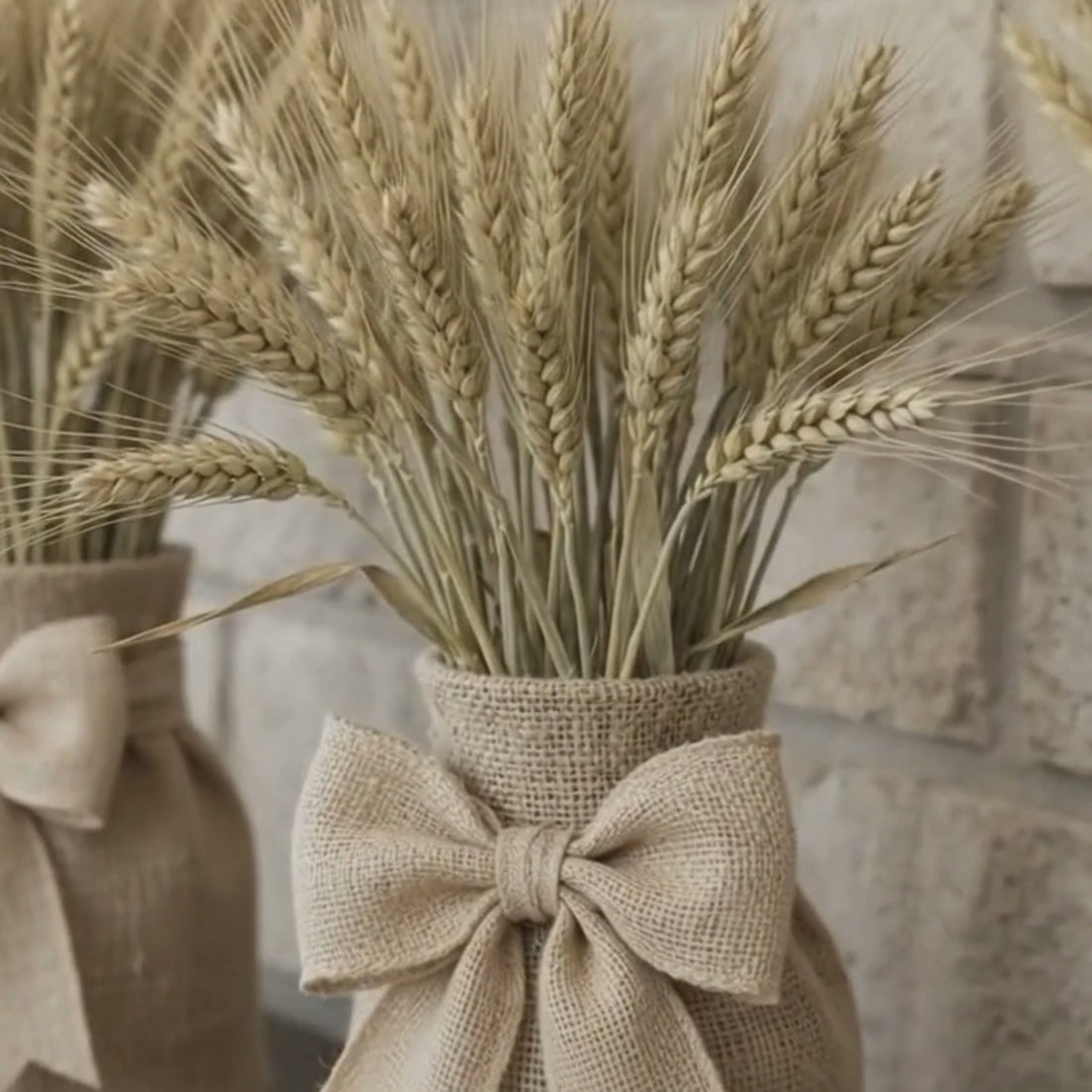 Dried Hordeum (Barley) - Natural Bunch, 60 cm,