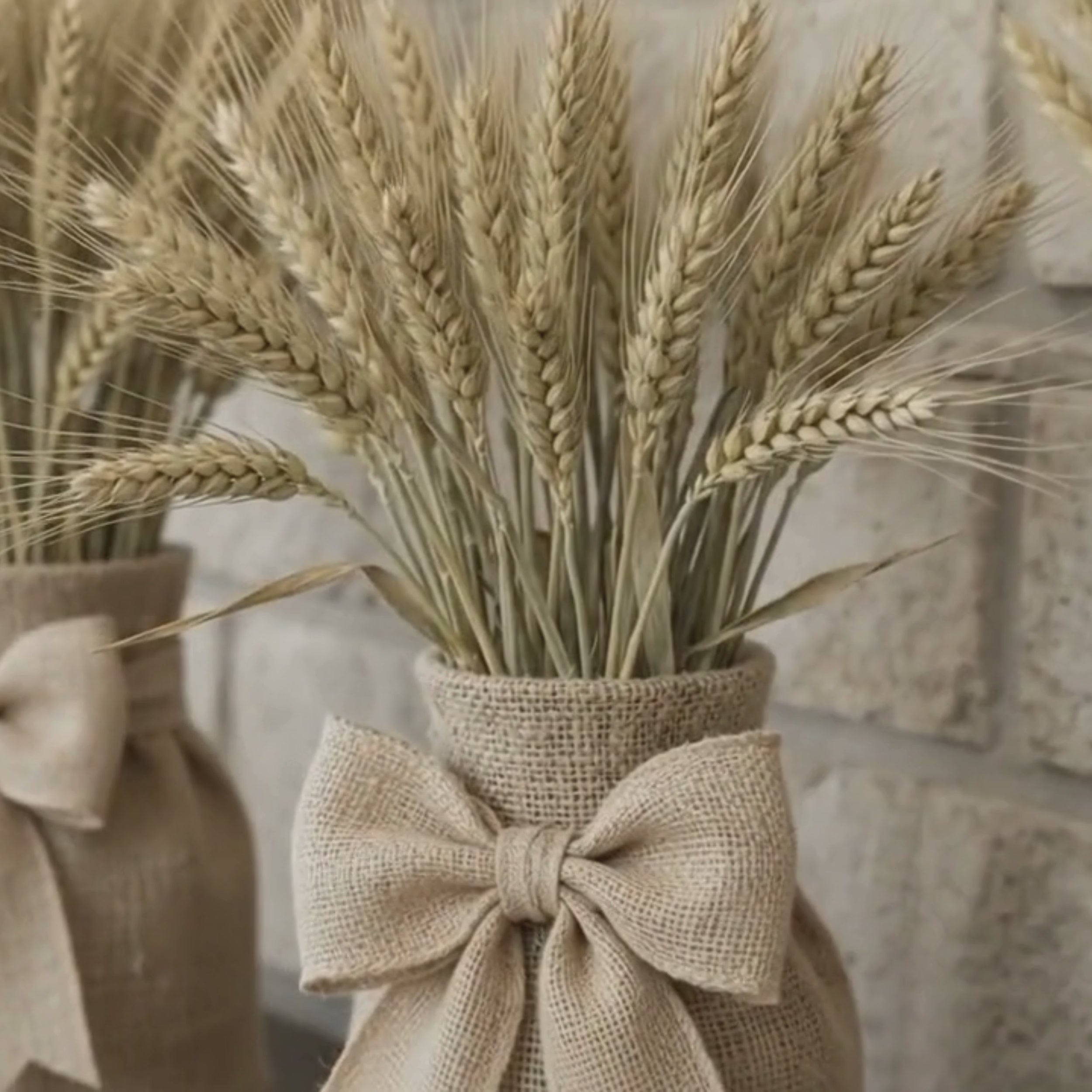Dried Hordeum (Barley) - Natural Bunch, 60 cm,