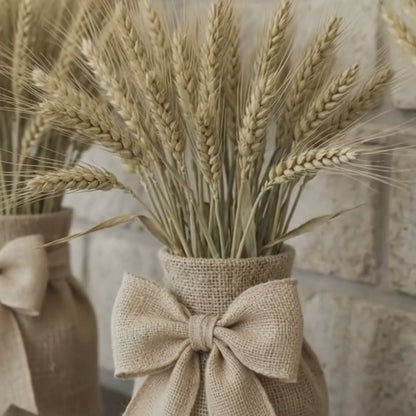 Dried Hordeum (Barley) - Natural Bunch, 60 cm,