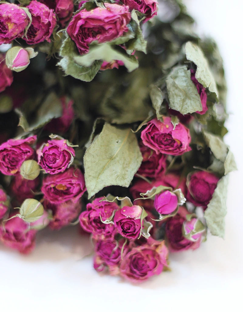 purple roses