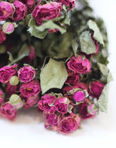 purple roses